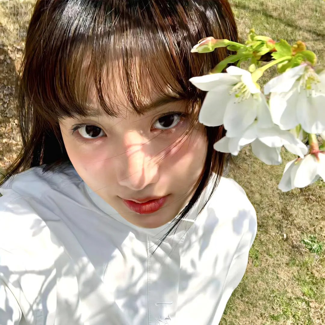 我的女官大人